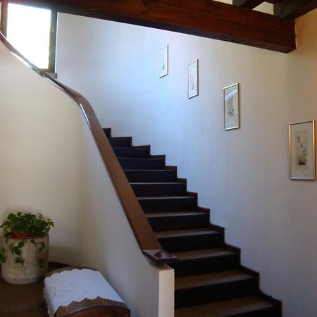 Sporting Hotel Ragno D'Oro Conegliano Buitenkant foto