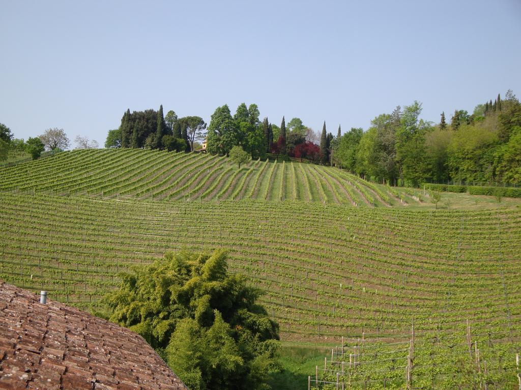 Sporting Hotel Ragno D'Oro Conegliano Buitenkant foto